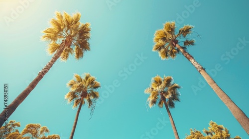 A minimalist composition of tall palm trees against a bright blue sky, creating a striking © olegganko