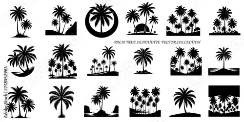 Palm Tree silhouette vector on the white background © CreativeNaznin
