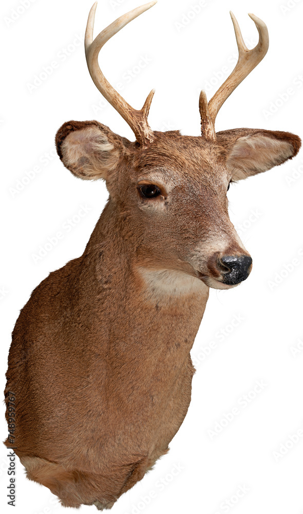 Obraz premium LAYER-LAB_1551817164F_LC