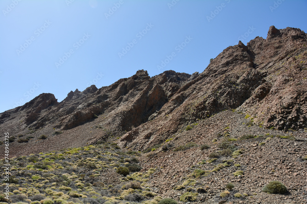 Volcanic landscape in El Teide National Park on Tenerife, Spain Volcanic landscape in El Teide National Park on Tenerife, Spain
