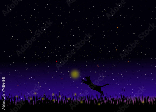 星空17
