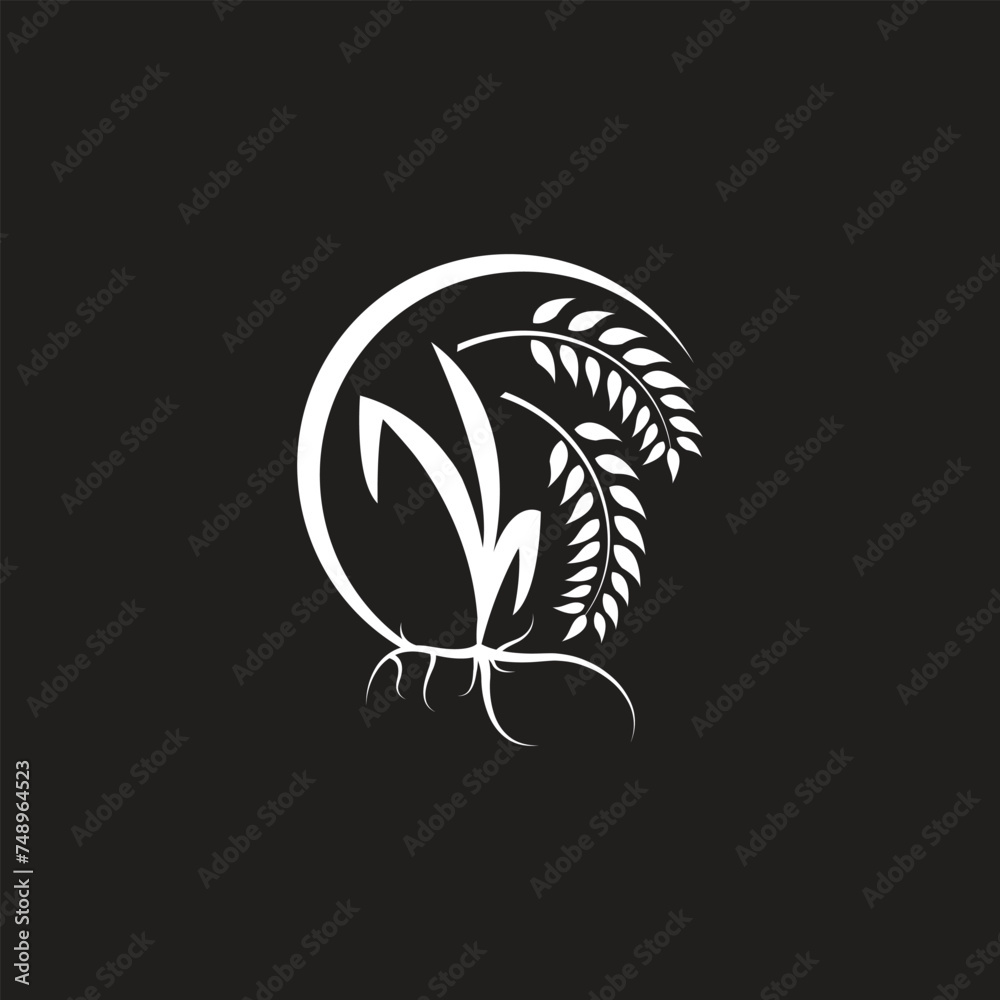 Rice Logo, Farm Wheat Logo Design, Vector Wheat Rice Icon Template Illustration Rice Logo, Farm Wheat Logo Design, Vector Wheat Rice Icon Template Illustration