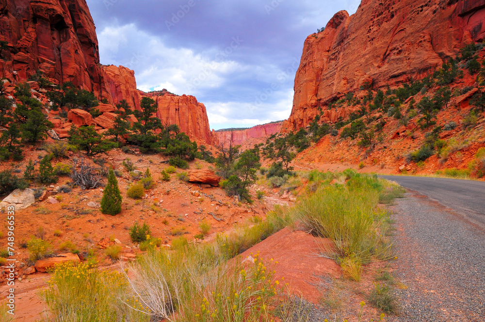 The Burr Trail scenic road winding through the red rock walls of Long Canyon, Grand Staircase-Escalante National Monument, Utah, USA.