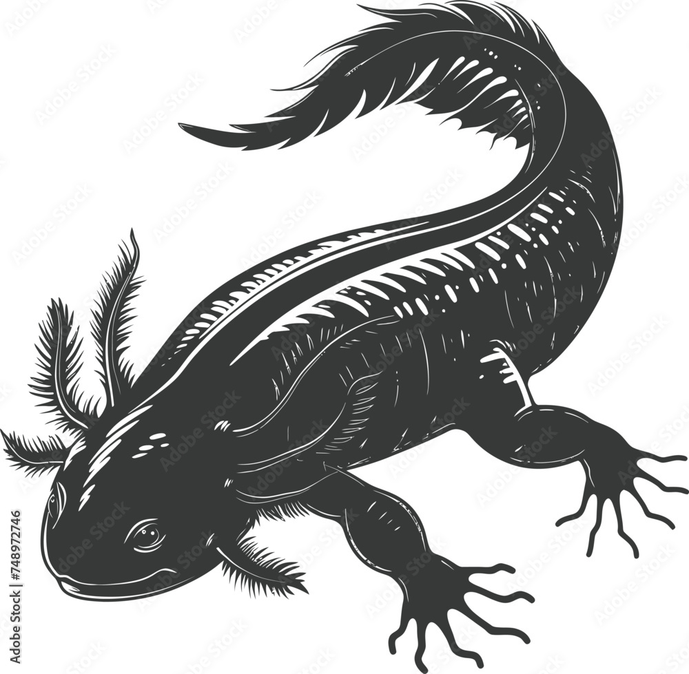 Silhouette Axolotl animal black color only full