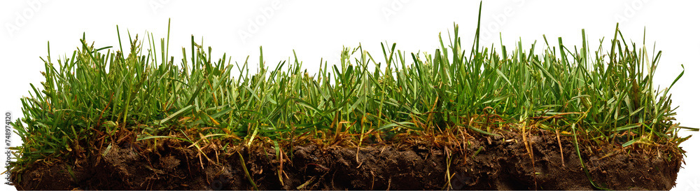 LAYER-LAB_2805220190F_LC LAYER-LAB_2805220190F_LC