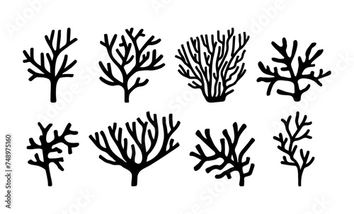 Vector sea collection corals. Hand drawn doodle illustrations.