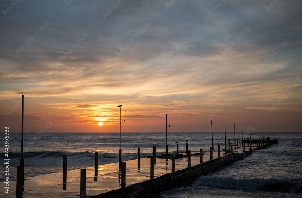 berth at dawn, a bird sits on a column, seagulls by the sea