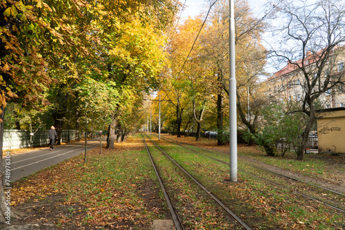 tram tracks in autumn park