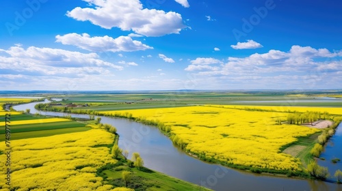 Vibrant aerial view of a meandering river through colorful agricultural fields in spring  with yellow canola blooms  green pastures  clear blue sky  fluffy clouds  serene water  and rural landscape