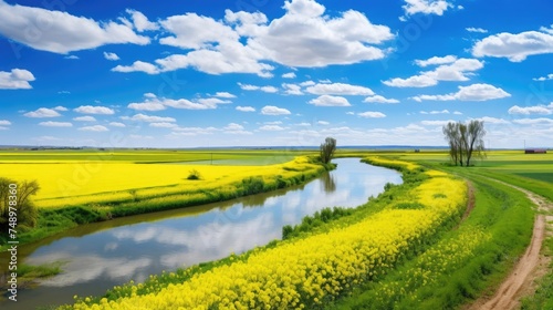 Riverside spring fields bloom with vivid yellow flowers under a dynamic blue sky