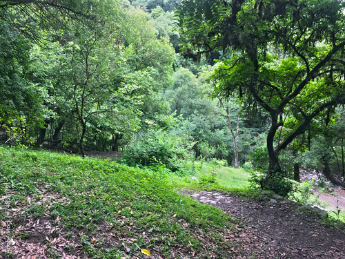 Fototapeta Naklejka Na Ścianę i Meble -  Path in the park