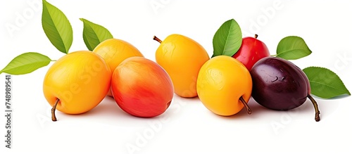 Various tropical Thai fruits such as Maprang  Marian plum  Gandaria  and Plum mango are stacked on top of each other on an isolated white background.