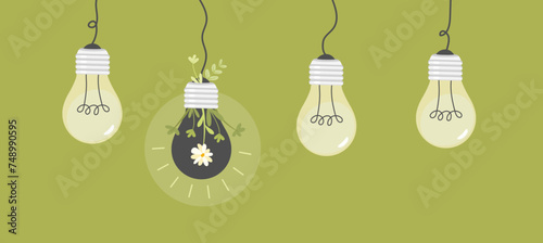 hanging turned of lightbulb growing plants