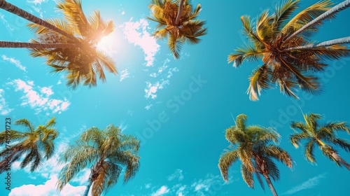 A minimalist composition of tall palm trees against a bright blue sky