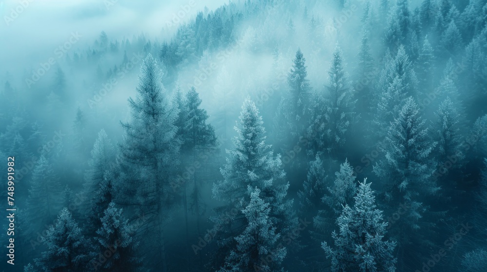 A minimalist photograph of a misty forest, with tall trees fading into the fog and soft A minimalist photograph of a misty forest, with tall trees fading into the fog and soft