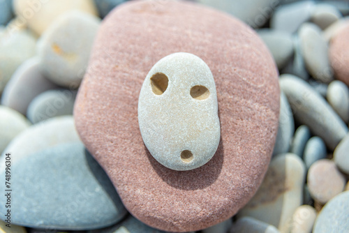 Stone with Natural Holes on a Reddish Rock Bed