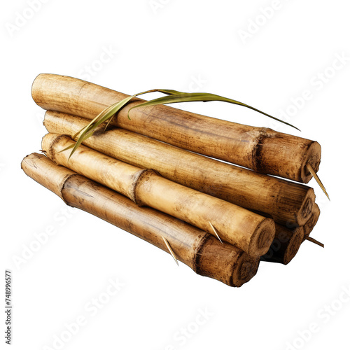 Piece of bamboo trunk png