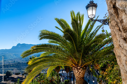 Palm Tree and Street Lamp Overlooking Spanish Mountain Landscape