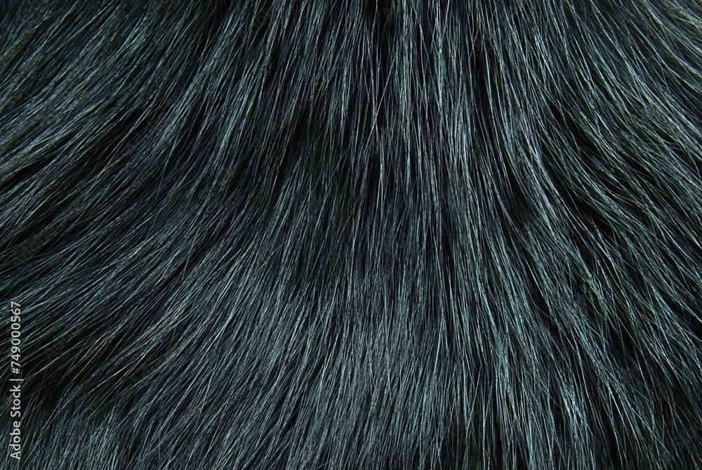 Fototapeta premium Dark green fur texture as background