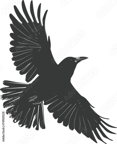 Silhouette crow bird fly black color only full body © NikahGeh