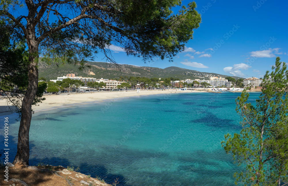 Scenic View of Palma Nova Beach in Mallorca with Turquoise Waters and Pine Trees