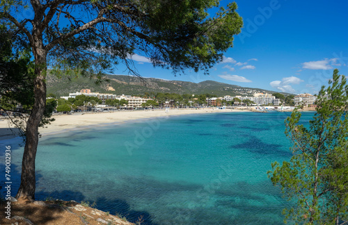 Scenic View of Palma Nova Beach in Mallorca with Turquoise Waters and Pine Trees