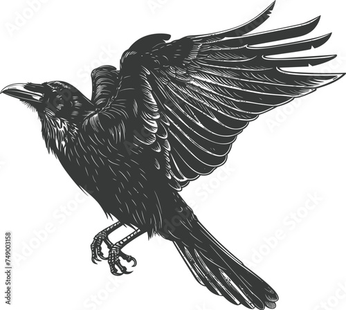 Silhouette crow bird fly black color only full body