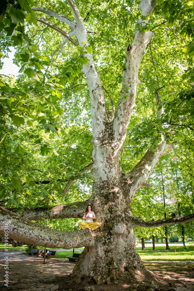 Fototapeta premium Beautiful woman with gorgeous curly hair doing yoga in nature, dressed in white and yellow combination, sitting on old plane tree. Concept: active, healthy life, in love with nature