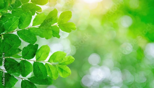 Blurred backgrounds with green leaves, bokeh, empty space and nature.