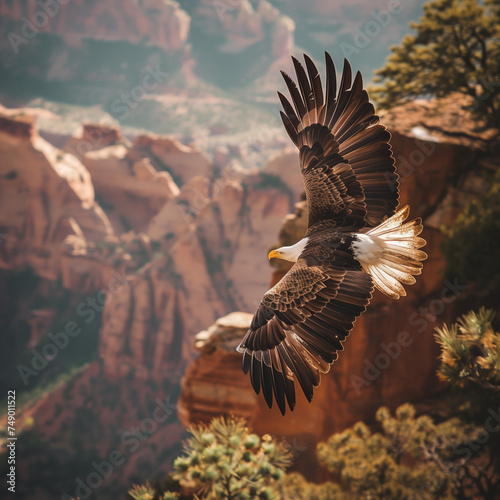 Majestic Eagle Soaring Over Canyon Landscape photo