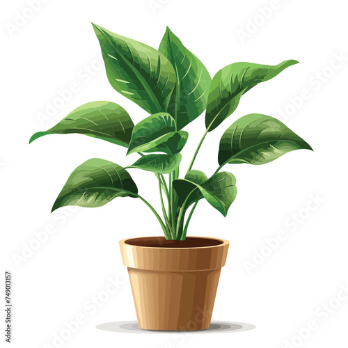 Vector green plant on a pot white background isolate
