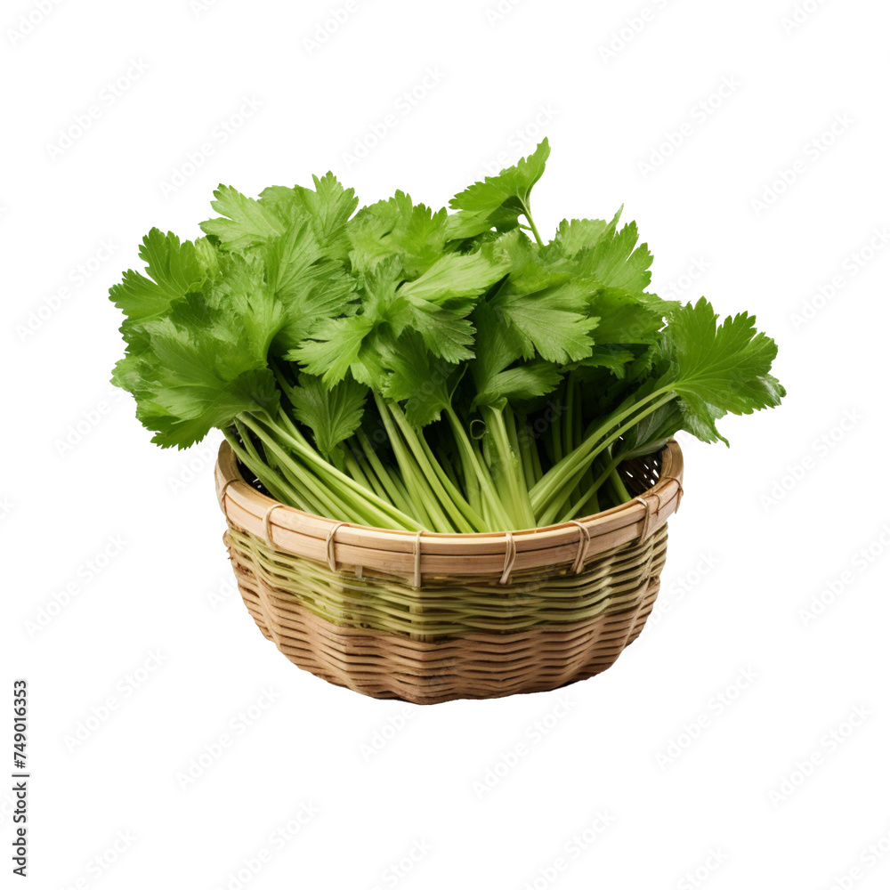 Celery in a Beautiful Wicker Basket - PNG Cutout with Transparent Backdrop Celery in a Beautiful Wicker Basket - PNG Cutout with Transparent Backdrop