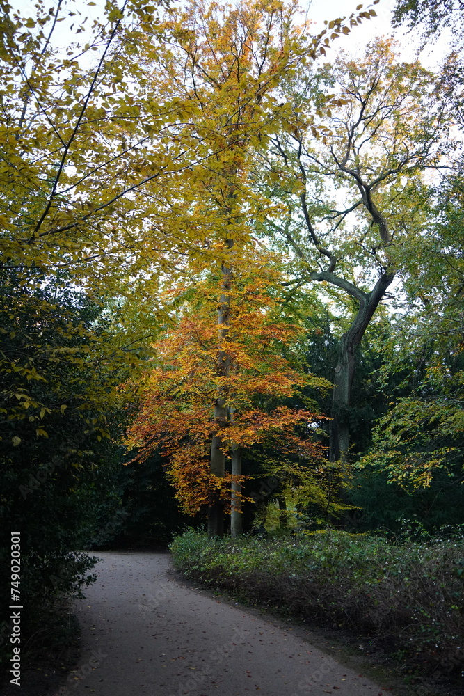 Vibrant and tranquil nature in Denmark