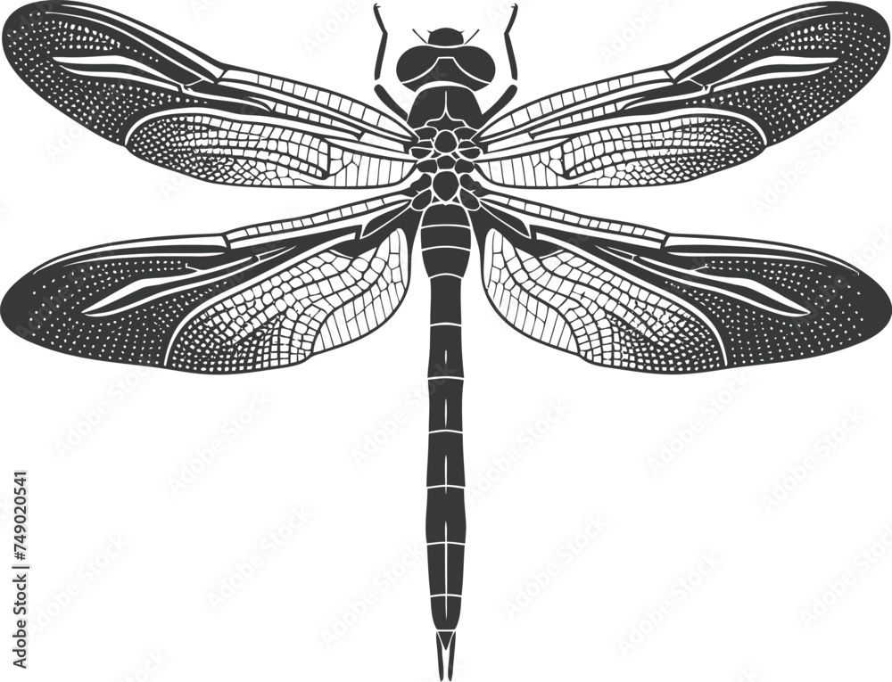 Silhouette Dragonfly black color only full body Silhouette Dragonfly black color only full body