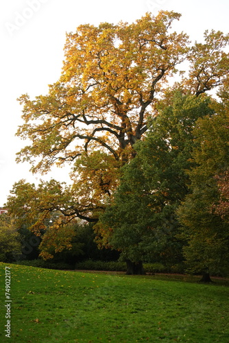 Photography Vibrant and tranquil nature in Denmark