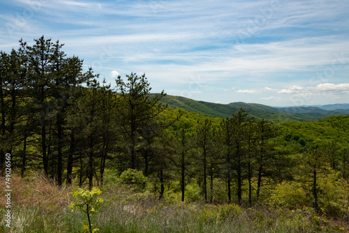 View from Skyline drive in the Shenandoah National Park photo