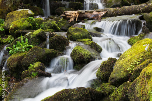Waterfall cascading over the rocks near Wild Cherry Branch in the Great Smoky Mountains National Park