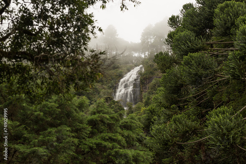 Cachoeira dentro da Mata Atlântica que abrange boa parte do território brasileira que detém um bioma único.   photo