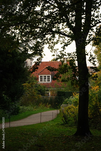 Vibrant and tranquil nature in Denmark