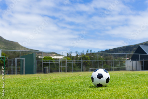 A soccer ball sits on a lush green field with mountains in the background, with copy space