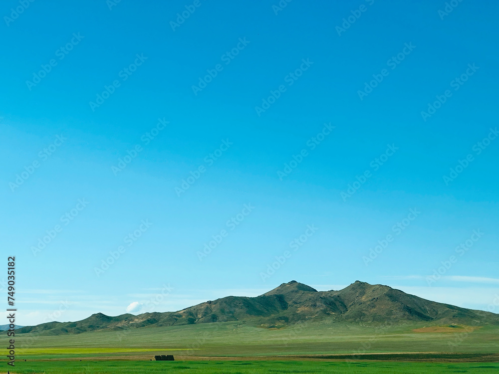 Naklejka premium Empty spaces, Mongola