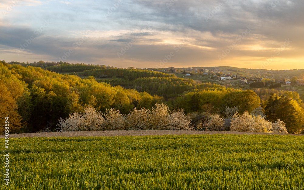 Spring sunset among flowering trees and hills, Poland Podkarpackie