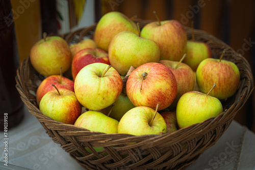 Fresh and colorful apples in dark brown basket, Autumn at the rural garden.Harvesting