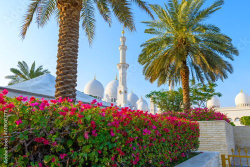 Minarets and Qubbas, or domes, of the beautiful white Sheikh Zayed Grand Mosque can be seen from a lush tropical garden with flowers and palm trees at the exterior in Abu Dhabi, United Arab Emirates. photo