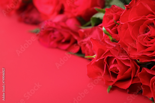 Close up of red roses on red background with copy space