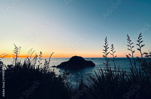 Sugarloaf Islands and flax flowers, Taranaki, New Zealand