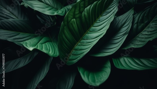  Vibrant green leaves in close-up  perfect for nature-inspired designs