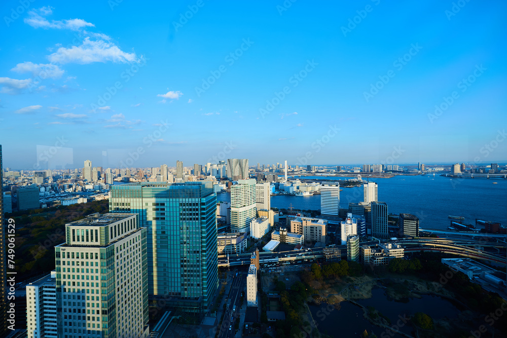 Obraz premium 東京の夜景