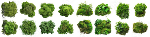 Collection of Lush Green Moss Clusters Isolated on Transparent Background