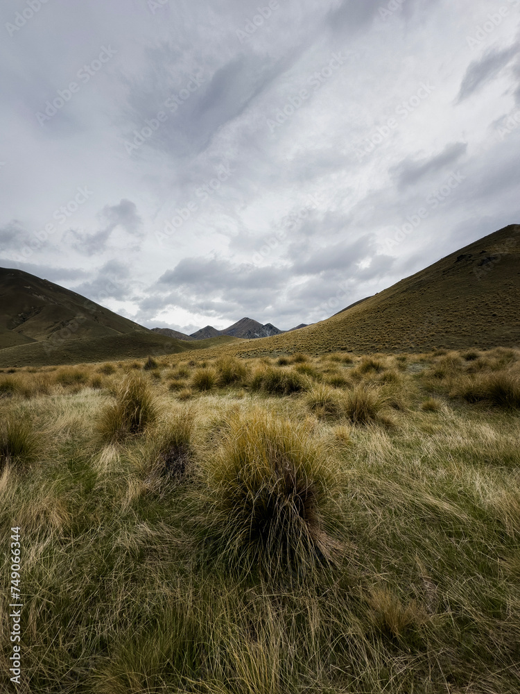 Grasslands, Haast Pass, South Island, New Zealand